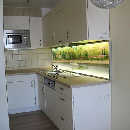 Appartement Apartment Schluchsee Schluchsee