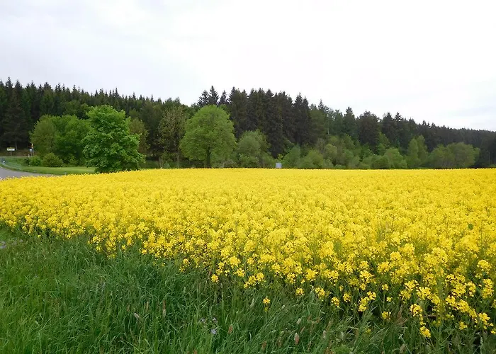 Apartment Schluchsee Schluchsee